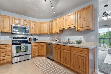 Kitchen featuring stainless steel appliances, knotty alder cabinets