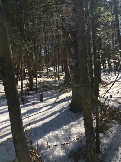 23 Littleton Rd unit lot 23 (Survey map, Whitefield, NH 03598 - photo 4