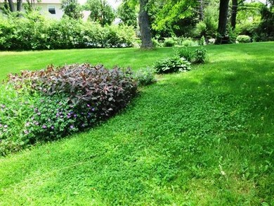 Plush Lawn & Simple Landscape