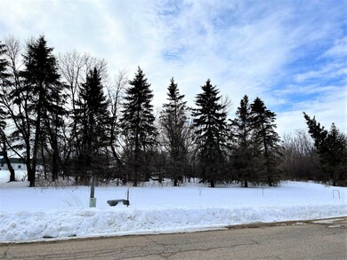 40519 Pine View Dr, Sauk Centre, MN 56378 - photo 4