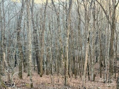 479 El Miner Dr, Mars Hill, NC 28754 - photo 6