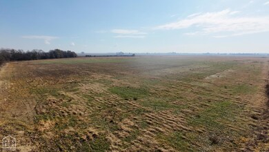 507 Hwy 280, Peach Orchard, AR 72453 - photo 7