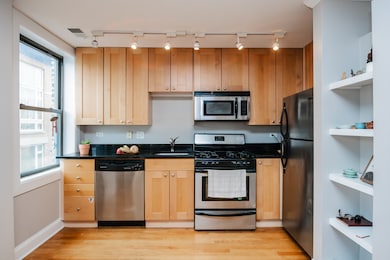 4144 N Sheridan Rd unit 409, Chicago, IL 60613 - photo 7