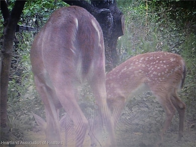 240 Sheppard Rd, Venus, FL 33960 - photo 7