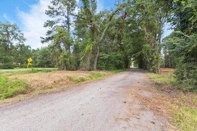 View of road featuring a wooded view