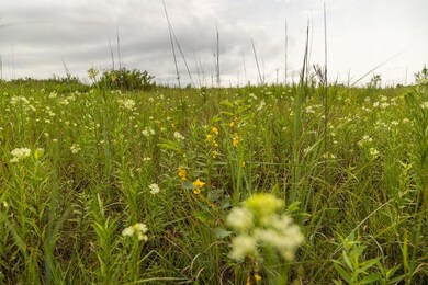 00000 Pflumm Rd, Paola, KS 66071 - photo 5