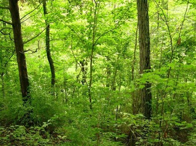 550 Normans Camp Rd, Harrodsburg, KY 40330 - photo 3