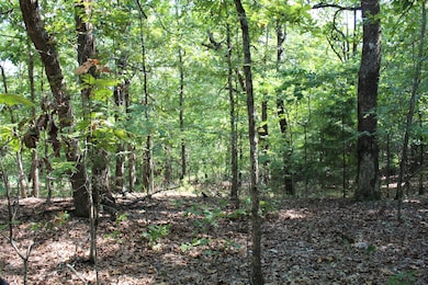 Lot 41-5