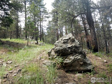 0 Davis Ranch Rd unit 737586, Bellvue, CO 80512 - photo 5