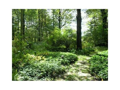 Yard/Garden. The land in summer time is accented w