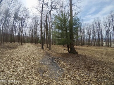 90 Danville Rd, Madison Township, PA 17815 - photo 6