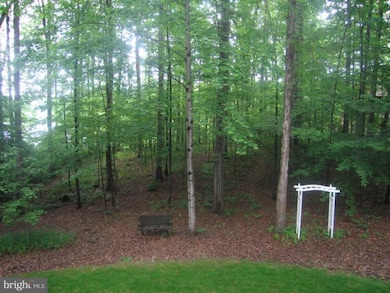 10217 Helena Terrace, Spotsylvania, VA 22553 - photo 2