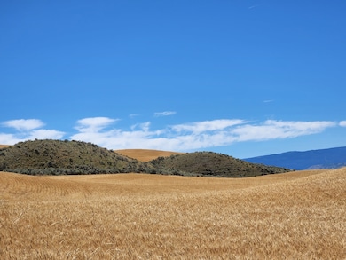 2025 Cougar Ridge Rd, East Wenatchee, WA 98802 - photo 5