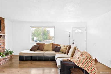 north facing windows