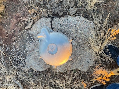 000 White Mountain Lake Rd unit H, Show Low, AZ 85901 - photo 2