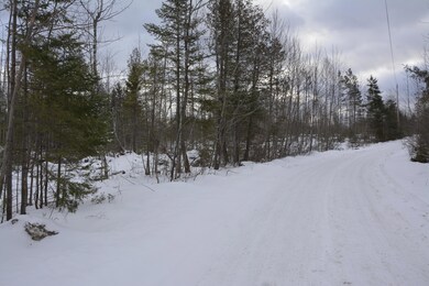 _DSC0005