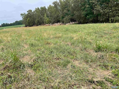 19 Holland Rd, Athens, AL 35614 - photo 5