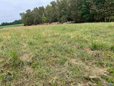 21256 Holland Rd, Athens, AL 35614 - photo 5