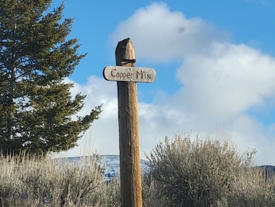 TBD Parcels 3A Bivens Creek Ridge Rd, Sheridan, MT 59749 - photo 4