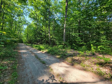 Lower Cranberry Meadow 1