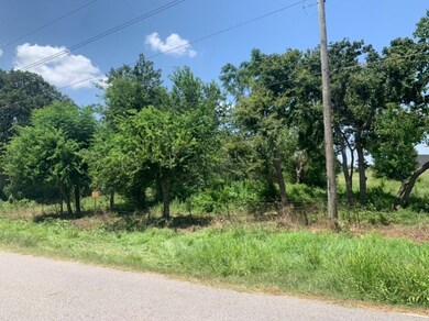 31002 Rochen Rd, Waller, TX 77484 - photo 3