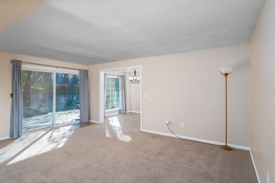 Living Room - South view
