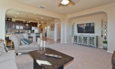 533 Smart Strike Trail, Granbury, TX 76049 - photo 5