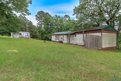 View of grassy yard with an outbuilding