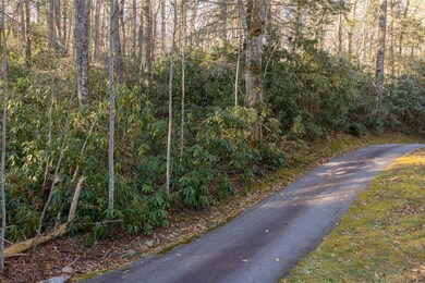 Lot 7 Ravenel Lake Trail, Highlands, NC 28741 - photo 5