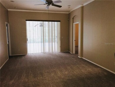 420 Cypress View Dr, Oldsmar, FL 34677 - photo 6