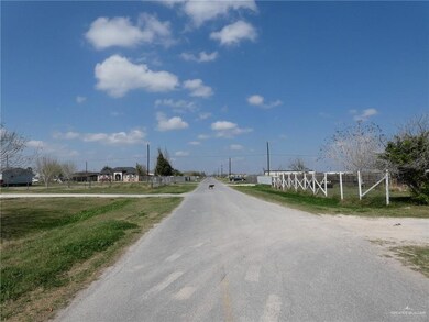 1153 S Whalen Rd, Alamo, TX 78516 - photo 4