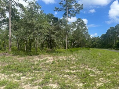 xx Ramsay Way, Panacea, FL 32346 - photo 7