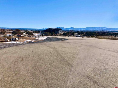 Lot 9 Summit Ct, Cedaredge, CO 81413 - photo 7