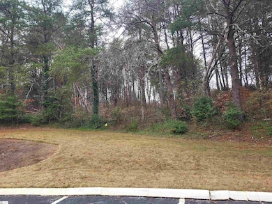 0 Pinecroft Dr, Taylors, SC 29687 - photo 2