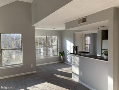 10543 Beacon Ridge Dr unit 203, Bowie, MD 20721 - photo 5