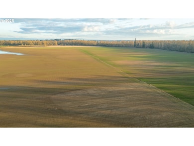 0 SE Upper Island Rd, Dayton, OR 97114 - photo 3