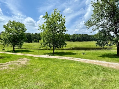 0 Robinson Bridge Rd, Lecompte, LA 71346 - photo 2