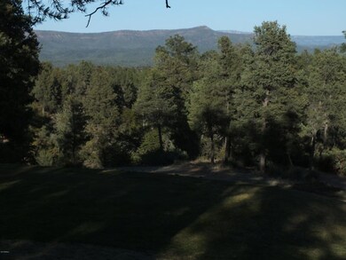 501 S Rim Club Dr unit 19, Payson, AZ 85541 - photo 7