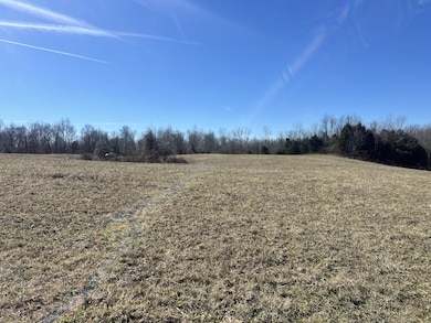 8 Marion Rd, Fredonia, KY 42411 - photo 3