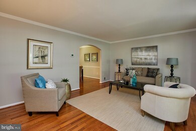 7703 Tower Woods Dr, Springfield, VA 22153 - photo 4