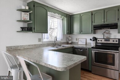 272 Lower View Rd, Strasburg, VA 22657 - photo 6