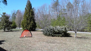 Room to play in front yard