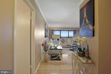 307 Yoakum Pkwy unit 1506, Alexandria, VA 22304 - photo 6