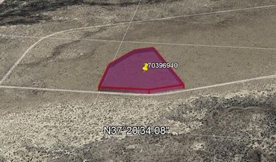 Blanca, Lasauses, CO 81151 - photo 5