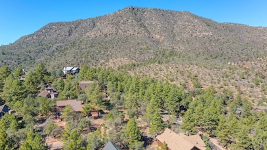 mls-DJI_0501_2_3 copy