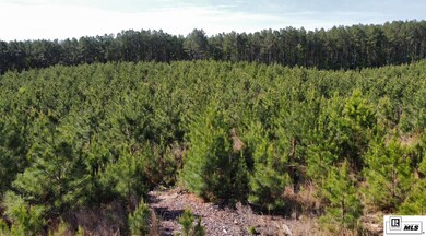 000 Anadarco Rd, Eros, LA 71238 - photo 6