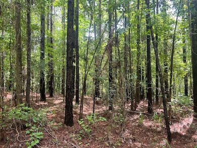 18121 Jordan Grove Road Exd, Dozier, AL 36028 - photo 3