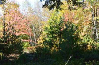 4 Sagamore Ridge unit Lot 4, Tuftonboro, NH 03816 - photo 4