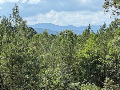 384 Cliffs Pkwy S, Salem, SC 29676 - photo 5