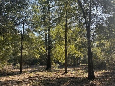 0 Newman Rd unit 7670125, Mobile, AL 36695 - photo 2